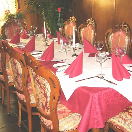 Hotel Zum Lamm Hotel Gundelsheim (Baden-Wurttemberg)